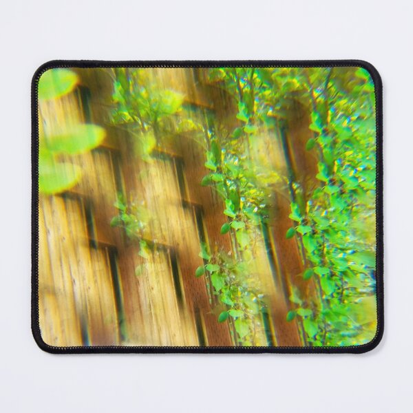 Item preview, Olympic Rain Forest: The Mossy Cedar and Emerald Mist designed and sold by ElionSolis.