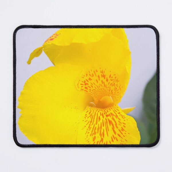 Item preview, Canna Lily_Bright Yellow designed and sold by ROSE ANN BANILAR.