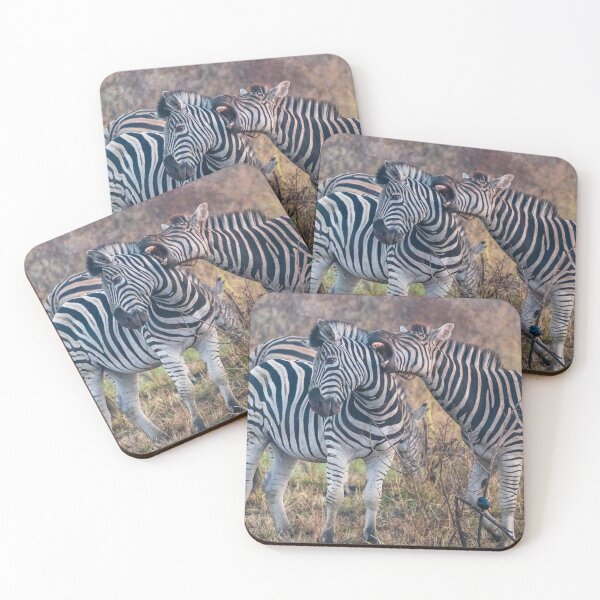 Item preview, Zebra in Kruger National Park, South Africa designed and sold by Gilmore Photography.