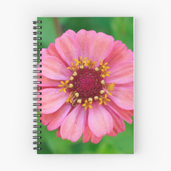 Item preview, Pink Zinnia with Little Bug designed and sold by PhotoArtbyGrace.