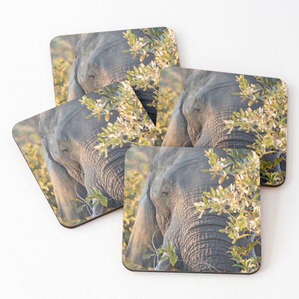 Item preview, African elephant hiding behind a tree designed and sold by Gilmore Photography.
