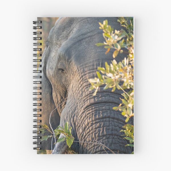 Item preview, African elephant hiding behind a tree designed and sold by Gilmore Photography.