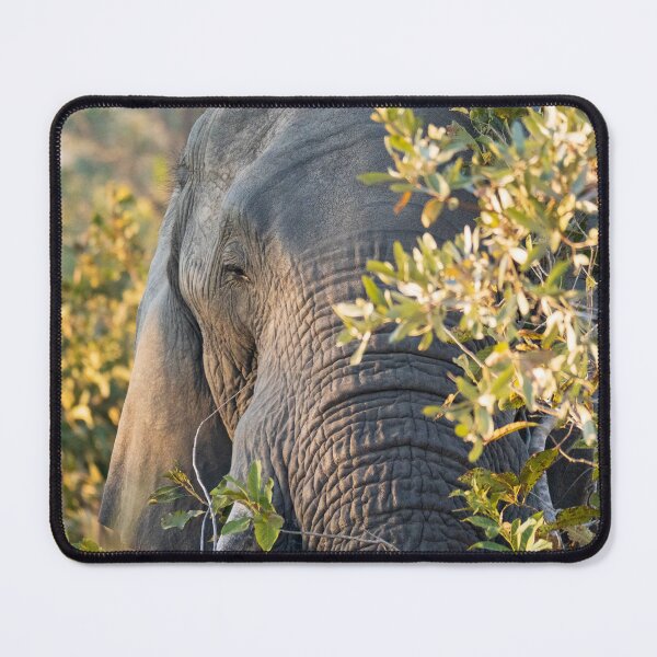 Item preview, African elephant hiding behind a tree designed and sold by Gilmore Photography.