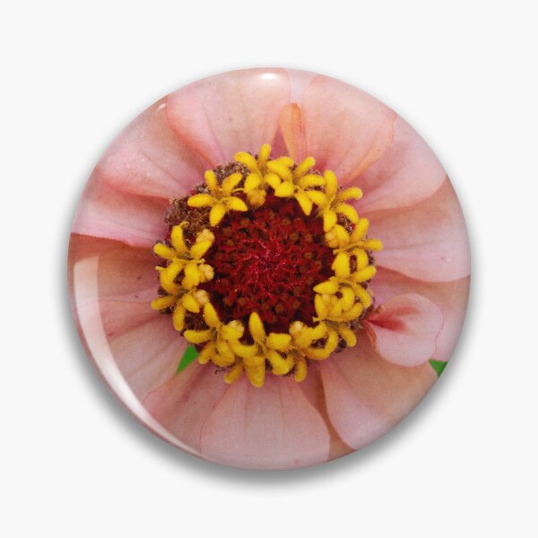 Item preview, Pastel Peach Zinnia designed and sold by PhotoArtbyGrace.