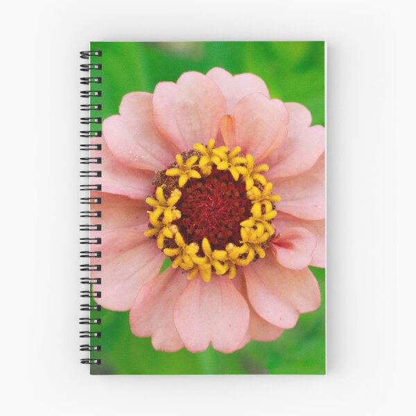 Item preview, Pastel Peach Zinnia designed and sold by PhotoArtbyGrace.