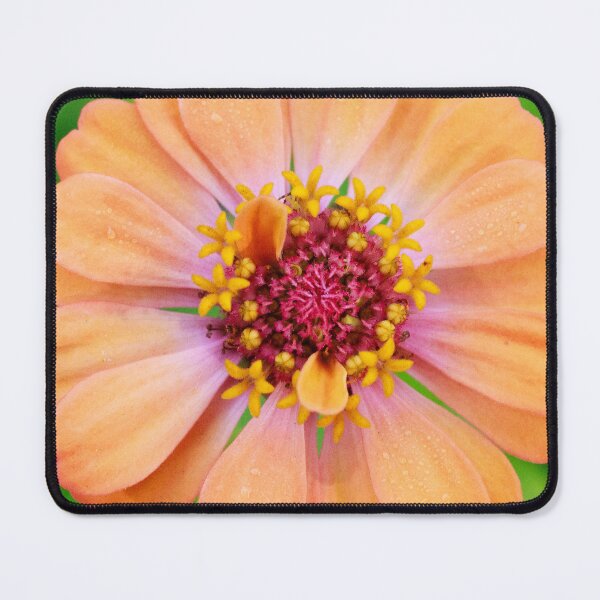 Item preview, Yellow and Peach Zinnia designed and sold by PhotoArtbyGrace.
