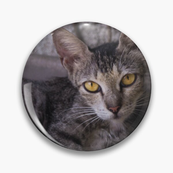 Artikelvorschau, Tabby Cat entworfen und verkauft von ROSE ANN BANILAR.