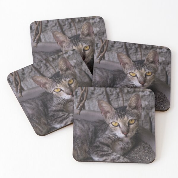 Item preview, Tabby Cat designed and sold by ROSE ANN BANILAR.