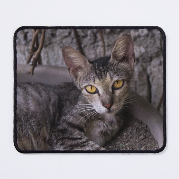 Item preview, Tabby Cat designed and sold by ROSE ANN BANILAR.