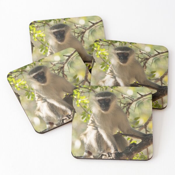 Item preview, Cheeky vervet monkey perched in a tree designed and sold by Gilmore Photography.