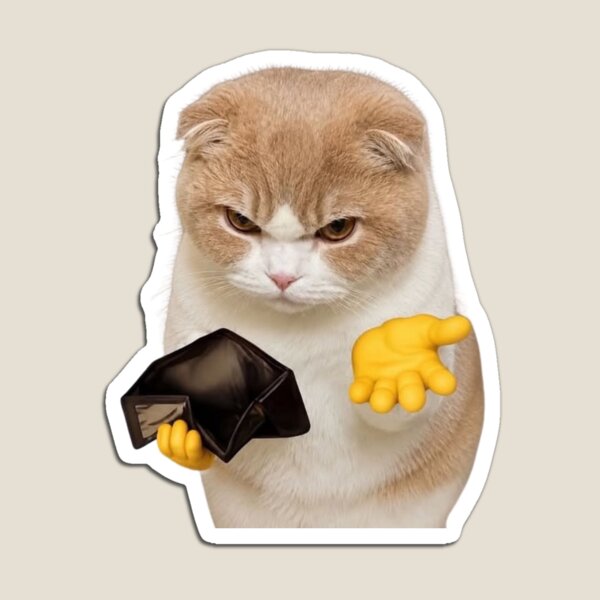 Item preview, Meme divertido de "Gato en bancarrota, billetera vacía" designed and sold by TeeStyle.mr.