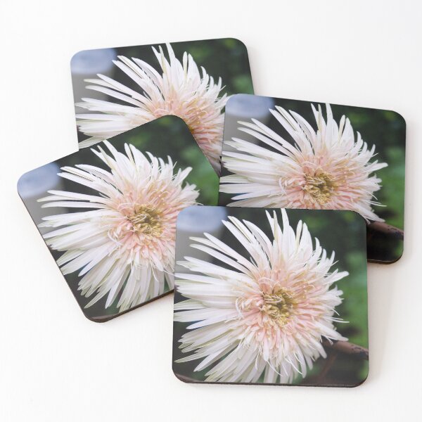 Item preview, Light Pink Daisy designed and sold by ROSE ANN BANILAR.