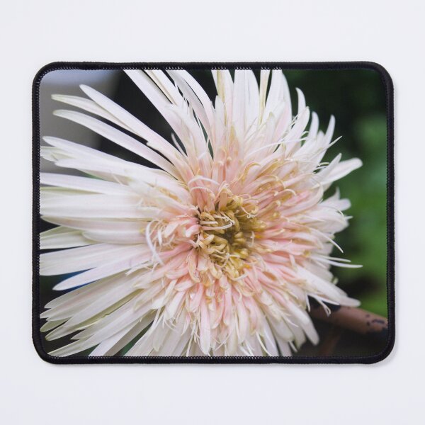 Item preview, Light Pink Daisy designed and sold by ROSE ANN BANILAR.