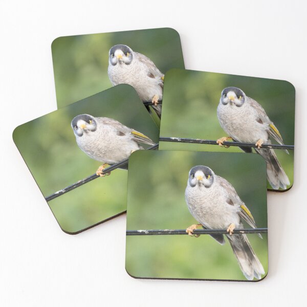 Item preview, Angry noisy miner designed and sold by Gilmore Photography.