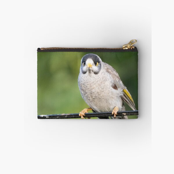 Item preview, Angry noisy miner designed and sold by Gilmore Photography.