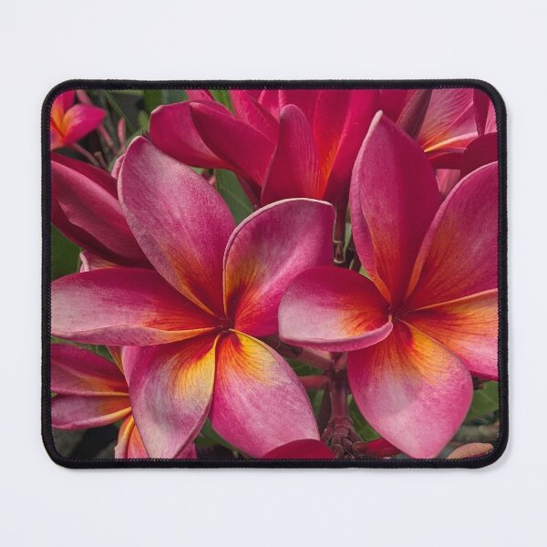 Item preview, Pink Frangipani designed and sold by AlienFusion.
