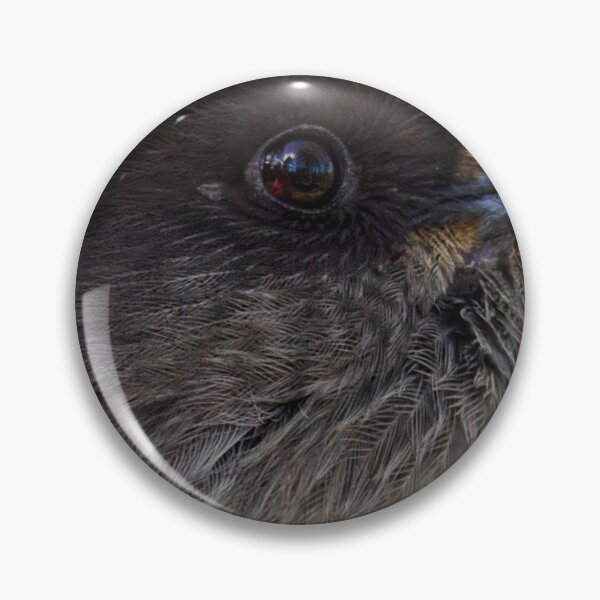 Item preview, Hands on. Siberian jay designed and sold by Jouko Lehto Photography.