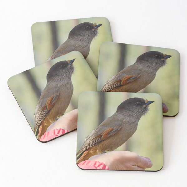 Item preview, Hands on. Siberian jay designed and sold by Jouko Lehto Photography.
