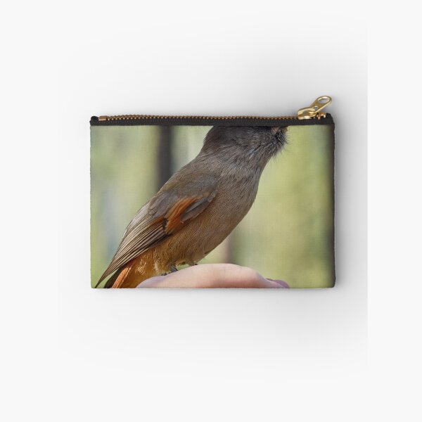 Item preview, Hands on. Siberian jay designed and sold by Jouko Lehto Photography.