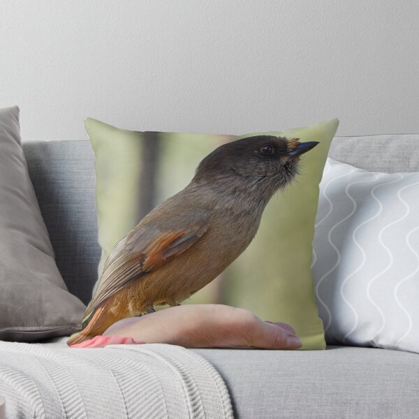 Item preview, Hands on. Siberian jay designed and sold by Jouko Lehto Photography.
