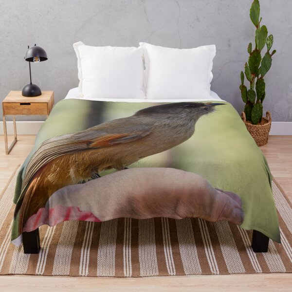 Item preview, Hands on. Siberian jay designed and sold by Jouko Lehto Photography.