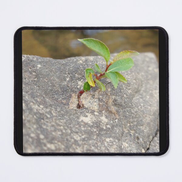 Item preview, Life Finds a Way designed and sold by ObjectAndNature.