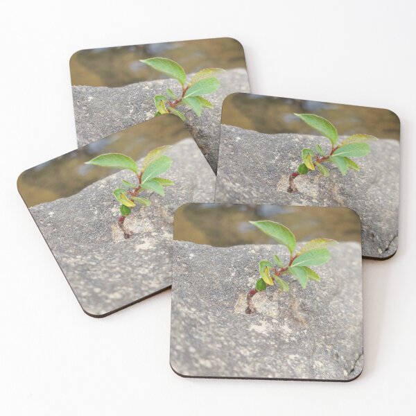 Item preview, Life Finds a Way designed and sold by ObjectAndNature.