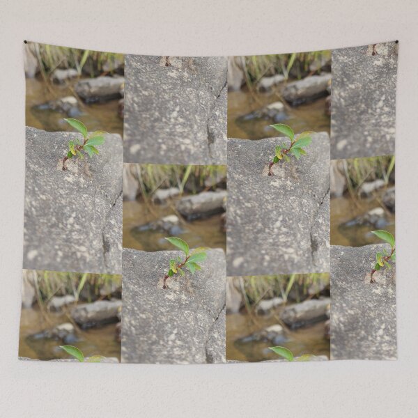 Item preview, Life Finds a Way designed and sold by ObjectAndNature.