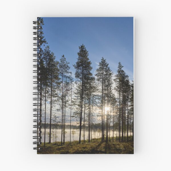 Item preview, Morning has risen 1. Petajaslampi designed and sold by Jouko Lehto Photography.