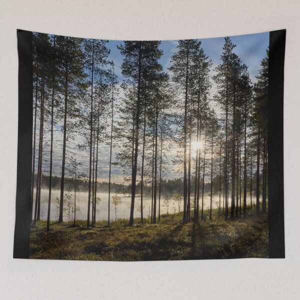 Item preview, Morning has risen 1. Petajaslampi designed and sold by Jouko Lehto Photography.