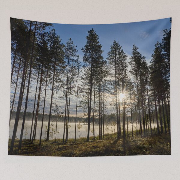 Item preview, Morning has risen 2. Petajaslampi designed and sold by Jouko Lehto Photography.
