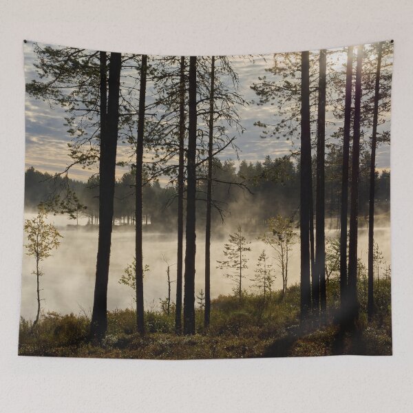Item preview, Morning has risen 3. Petajaslampi designed and sold by Jouko Lehto Photography.