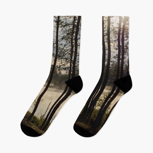 Item preview, Morning has risen 3. Petajaslampi designed and sold by Jouko Lehto Photography.