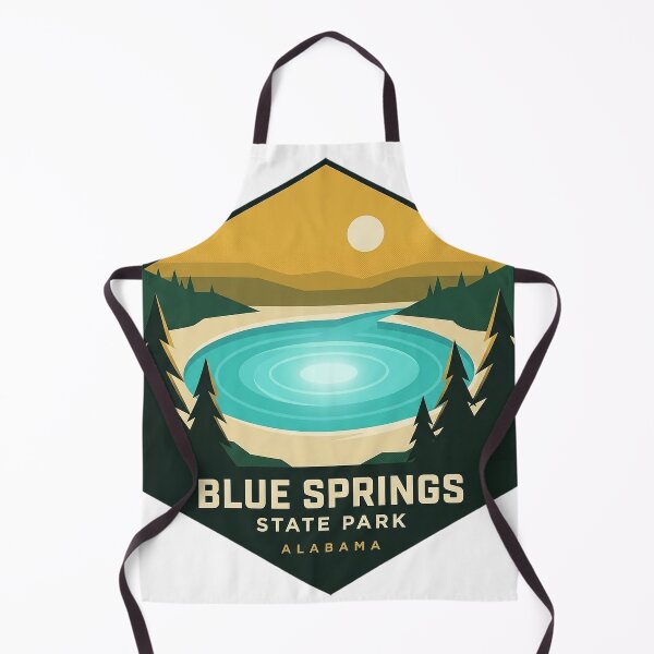 Item preview, Blue Springs State Park Alabama Sticker - Modern Geometric Hexagon Badge designed and sold by DetourDgn.