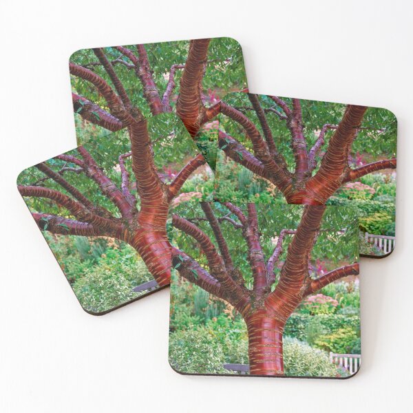 Item preview, Magical Neon Forest designed and sold by Petrporemon.