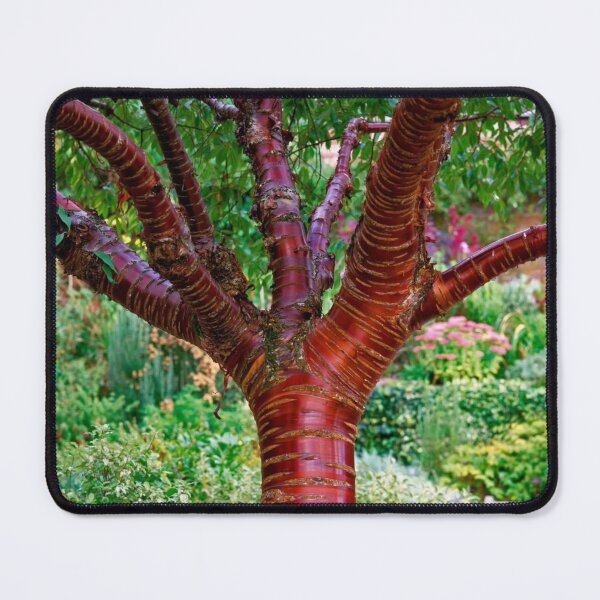 Item preview, Magical Neon Forest designed and sold by Petrporemon.