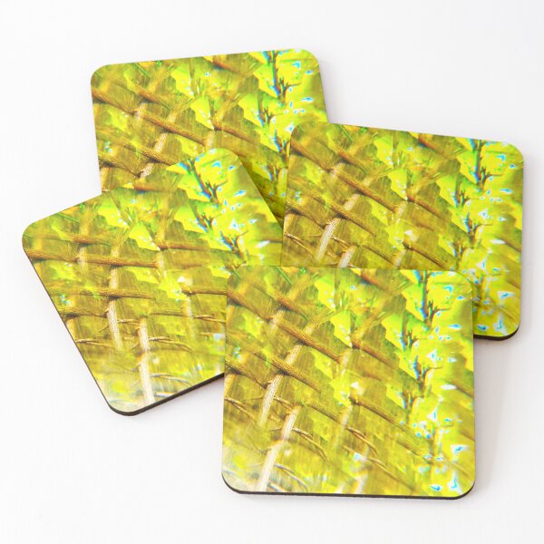 Item preview, San Juan Island: The Sunlit Trellis and Emerald Vine designed and sold by ElionSolis.
