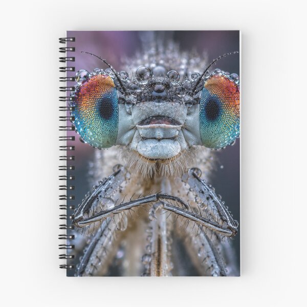 Item preview, Tropical Enter Shikari Band bBanana Delight designed and sold by Laibexplorphoto.