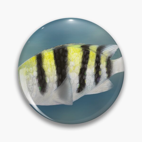 Artikelvorschau, Sergeant Major Fish entworfen und verkauft von Chilmelt.