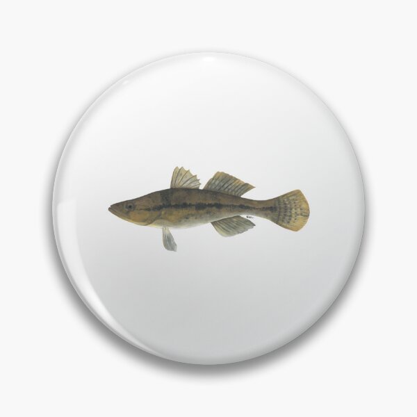 Item preview, Bigmouth Sleeper (Gobiomorus Dormitor) designed and sold by matthe-lopez.