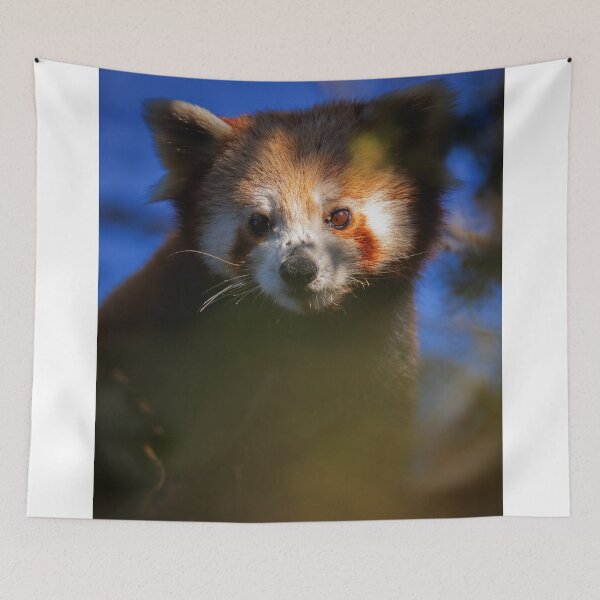 Item preview, Banana Sunshine Style designed and sold by Laibexplorphoto.