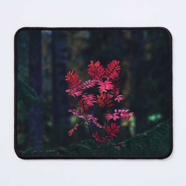 Item preview, Tropical Fruit Energy designed and sold by Laibexplorphoto.