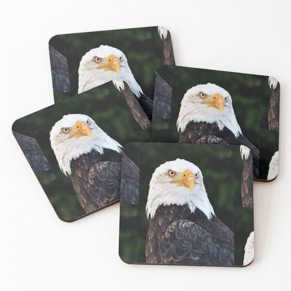 Item preview, vr 4080 / finition 2026 : Fête Médiévales " Aigle Royal " 86 - France par Okaio Créations - Olavia-Olao designed and sold by o.okaïo.