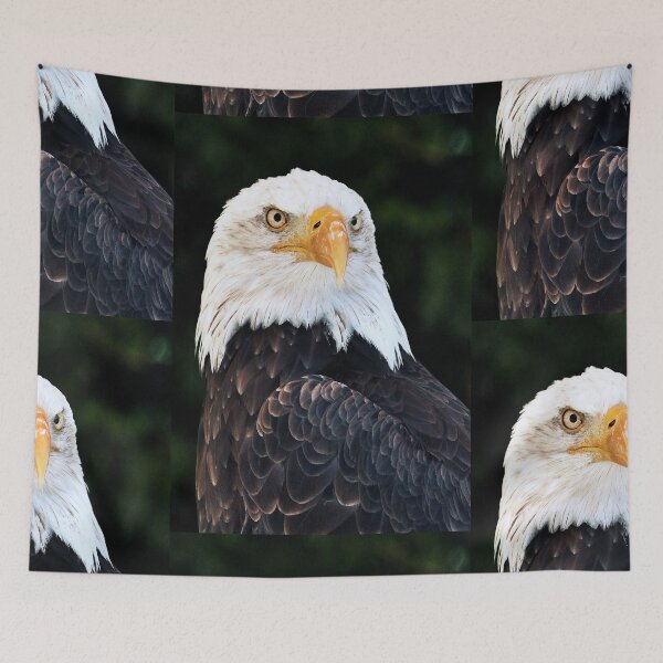 Item preview, vr 4080 / finition 2026 : Fête Médiévales " Aigle Royal " 86 - France par Okaio Créations - Olavia-Olao designed and sold by o.okaïo.