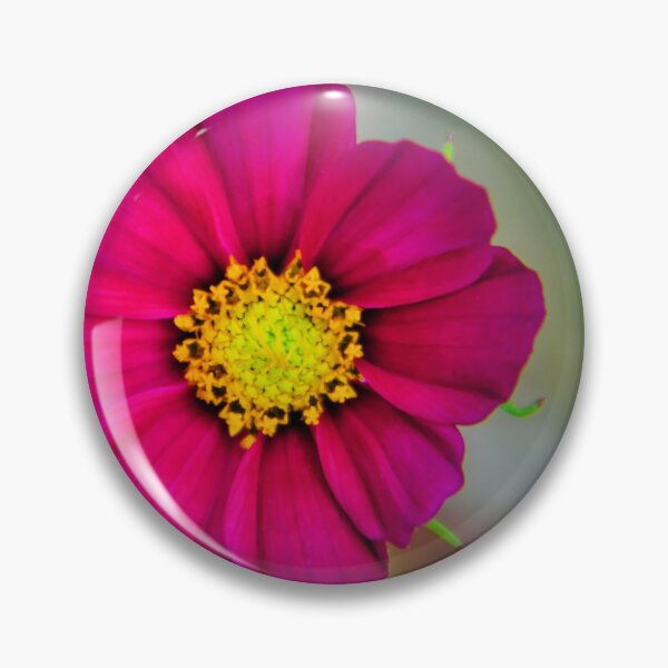 Item preview, Magenta Cosmos Bloom designed and sold by JEZ22.