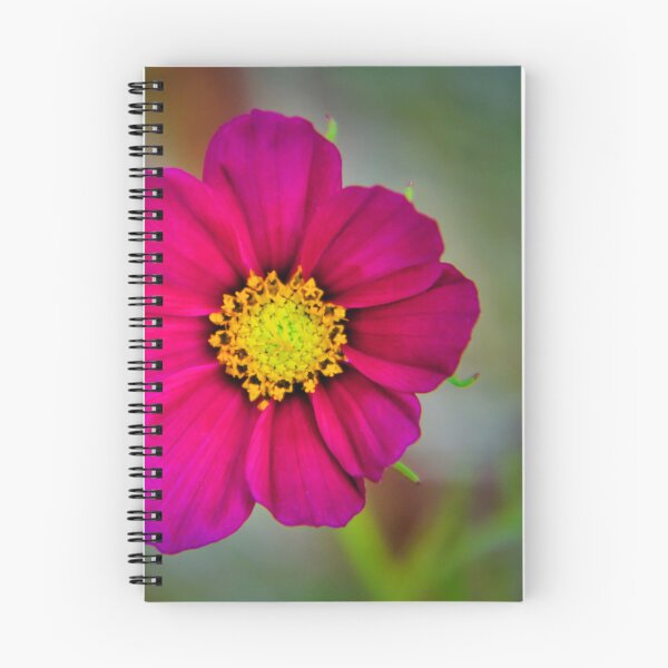 Item preview, Magenta Cosmos Bloom designed and sold by JEZ22.