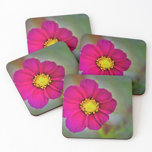 Item preview, Magenta Cosmos Bloom designed and sold by JEZ22.