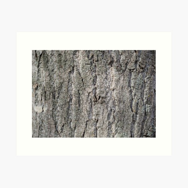 Item preview, Tree bark texture, nature designed and sold by Wiko Glitch.