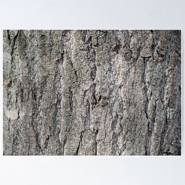 Item preview, Tree bark texture, nature designed and sold by Wiko Glitch.
