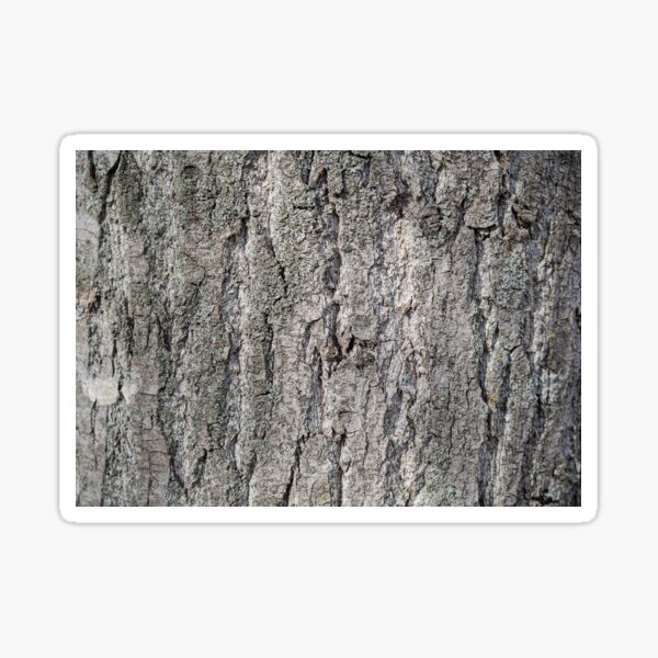 Item preview, Tree bark texture, nature designed and sold by Wiko Glitch.